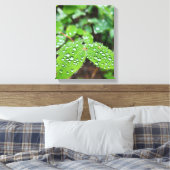 Toile Forêt Nature (Insitu(Chambre))
