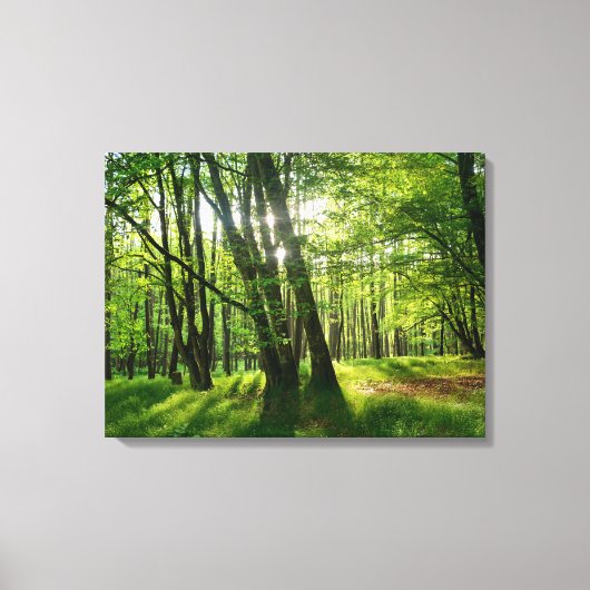 Toile Forêt printanière (Recto)