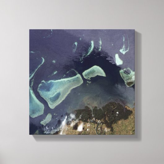 Toile Forêt verte profonde sur terre (Recto)