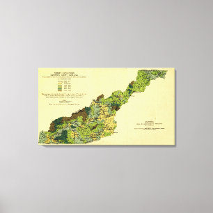Toile Forêts de carte du nord occidentale de