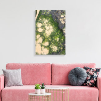 Toile Formation rocheuse de grès avec de la mousse émera