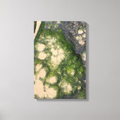 Toile Formation rocheuse de grès avec de la mousse émera (Recto)