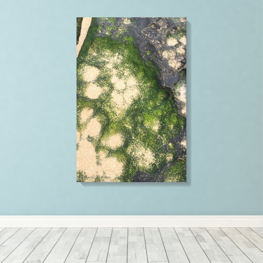 Toile Formation rocheuse de grès avec de la mousse vert (Insitu (Plancher de Bois))