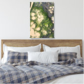 Toile Formation rocheuse de grès avec de la mousse vert (Insitu(Chambre))