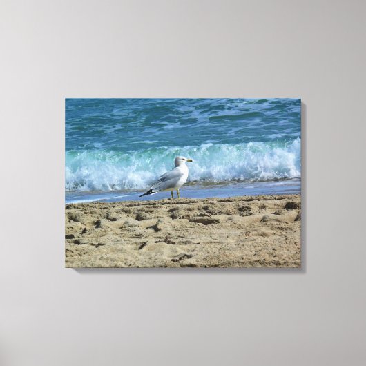 Toile Fort Lauderdale, Floride (Recto)