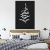 Toile Fougère dorée, Gymnogramma Chrysophylla (Insitu(Chambre))