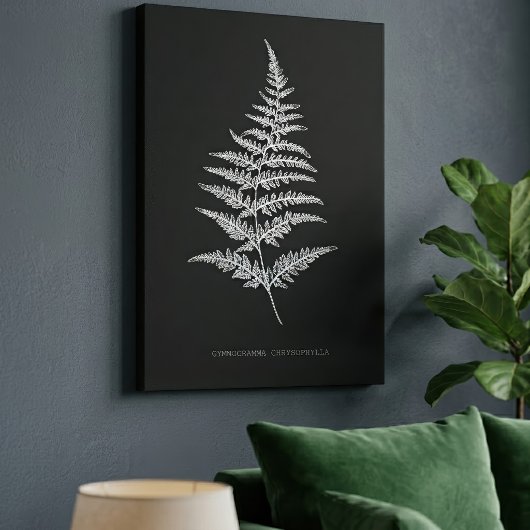 Toile Fougère dorée, Gymnogramma Chrysophylla