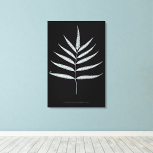 Toile Fougère - Polypodyum Grandidens - Effet radiograph