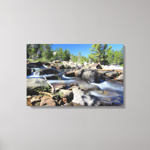Toile Fourchette argentée de la rivière américaine,