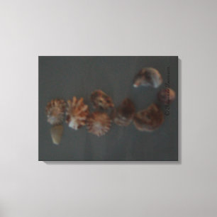 Toile FPM DECOR Canvas - SeaShell SeaHorse ©️ 2012