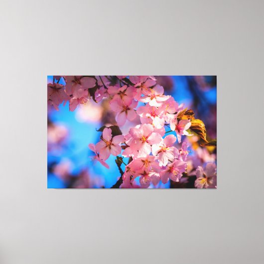 Toile Fraîchement rose Sakura Garland, Ciel bleu (Recto)