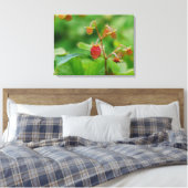 Toile Fraise Rouge En Bois Dans Un Jardin Photo (Insitu(Chambre))