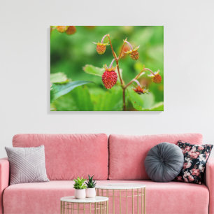 Toile Fraise Rouge En Bois Dans Un Jardin Photo