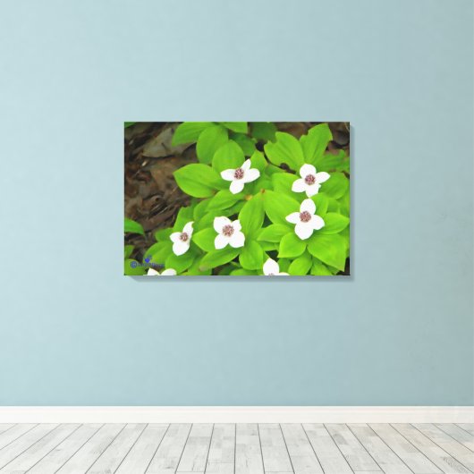 Toile Framboise (Insitu (Plancher de Bois))