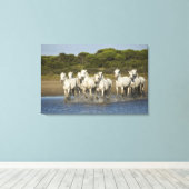 Toile France, Camargue. Chevaux traversent l'estuaire 3 (Insitu (Plancher de Bois))