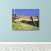Toile FRANCE, Languedoc Carcassonne (Insitu (Plancher de Bois))