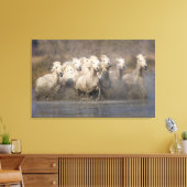 Toile France, Provence. Cheval blanc de Camargue (Insitu(Salon))