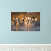 Toile France, Provence. Chevaux blancs de Camargue (Insitu (Plancher de Bois))