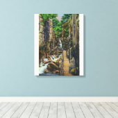 Toile Franconia Notch State Park 2 (Insitu (Plancher de Bois))