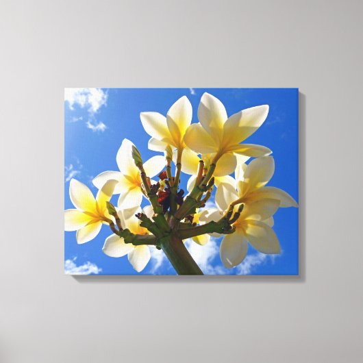 Toile Frangipani hawaïen (Recto)