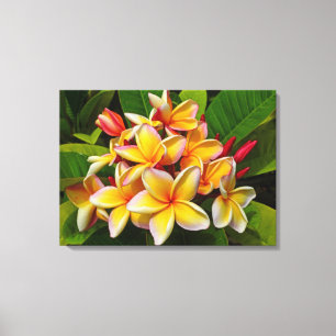 Toile Frangipani hawaïen