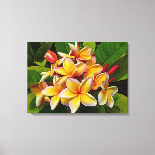 Toile Frangipani hawaïen (Recto)