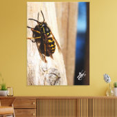 Toile Frelon à capuchon jaune à Freeland (Insitu(Salon))