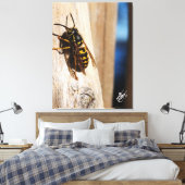 Toile Frelon à capuchon jaune à Freeland (Insitu(Chambre))