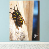 Toile Frelon à capuchon jaune à Freeland (Insitu (Plancher de Bois))