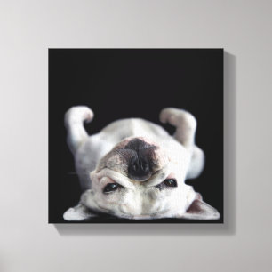 Toile French Bulldog