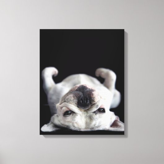 Toile French Bulldog (Recto)