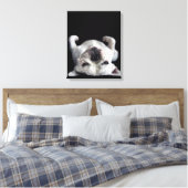 Toile French Bulldog (Insitu(Chambre))