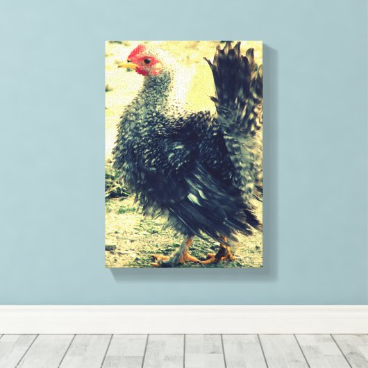 Toile Frizzle Rooster (Insitu (Plancher de Bois))