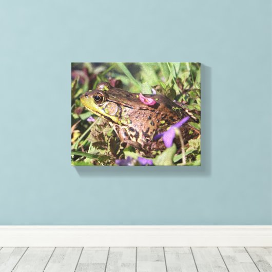 Toile Froggy (Insitu (Plancher de Bois))