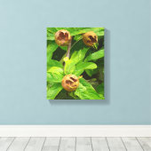 TOILE FRUIT MODLAIRE (Insitu (Plancher de Bois))