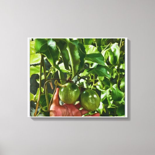 Toile Fruit Vert (Recto)