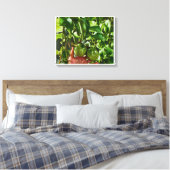 Toile Fruit Vert (Insitu(Chambre))