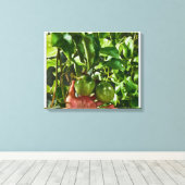 Toile Fruit Vert (Insitu (Plancher de Bois))