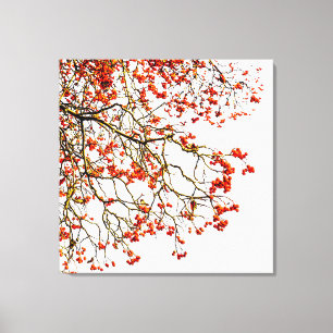 Toile Fruits rouges ou fraises