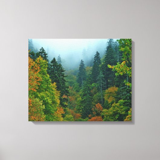 Toile Fumé Mountain Fall Foliing (Recto)