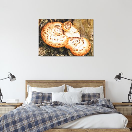 TOILE FUNGI (Insitu(Chambre))