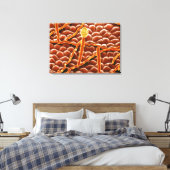 Toile Fungus de poudrière sur Poinsettia (Insitu(Chambre))