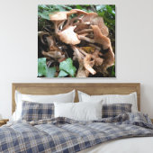 Toile Fungus marches forward (Insitu(Chambre))