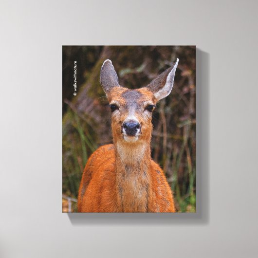 Toile Funny Young Blacktail Deer sourit à un photographe (Recto)