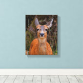 Toile Funny Young Blacktail Deer sourit à un photographe (Insitu (Plancher de Bois))