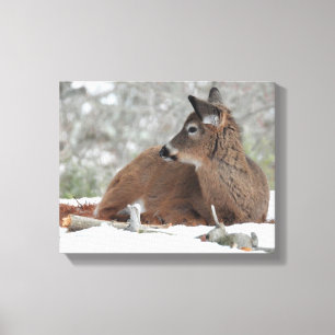 Toile Fuzzy White Quail Cerf Fawn
