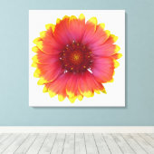 Toile Gaillardia 1 (Insitu (Plancher de Bois))