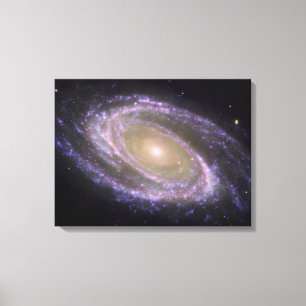 Toile Galaxie en spirale 81 plus malpropres