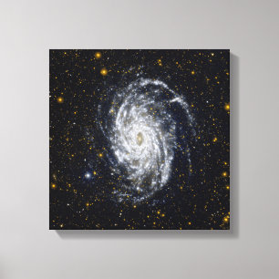 Toile Galaxie NGC 6744
