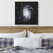 Toile Galaxie NGC 6744 (Insitu(Chambre))